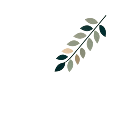 test 12