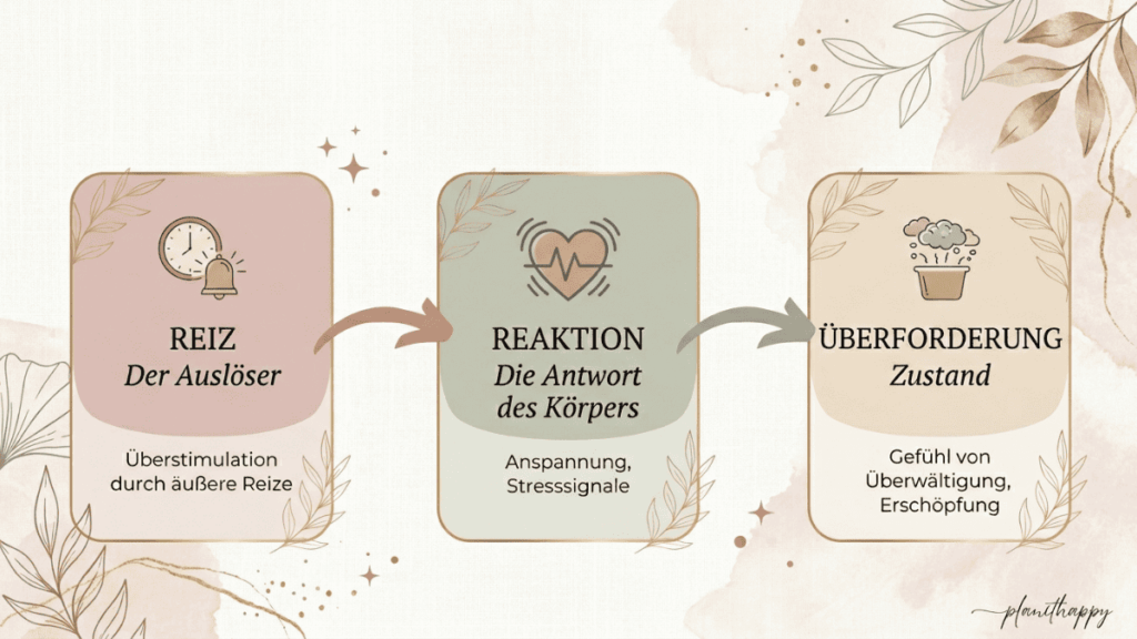 Darstellung von REIZ
Der Auslöser
Überstimulation durch äußere Reize

REAKTION
Die Antwort des Körpers
Anspannung, Stresssignale

ÜBERFORDERUNG
Zustand
Gefühl von Überwältigung, Erschöpfung